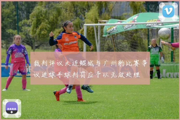 裁判评议大连鲲城与广州豹比赛争议进球手球判罚应予以无效处理